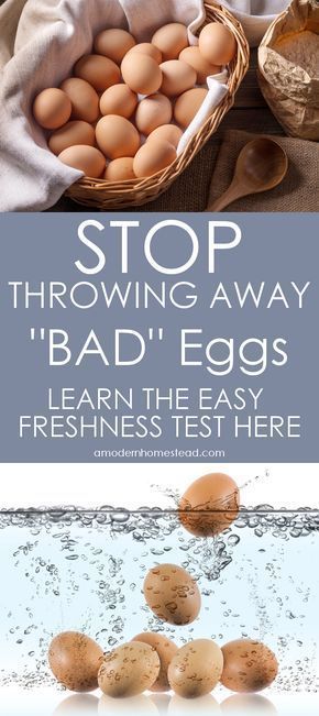 Egg Salads, Egg Test, Bad Egg, Baking Guide, Storing Eggs, Homestead Animals, Food Preserving, Modern Homestead, Food Prep Storage