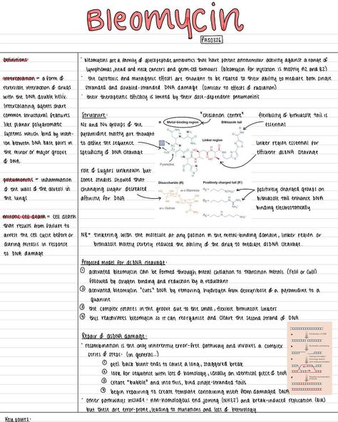 B🌟 on Instagram: “This was my first time using the Cornell note taking method on @goodnotesapp and I loved it! It was really useful for this topic which I…” Effective Notes, Cornell Method, Handwriting Inspo, Ipad Notes, Notes Inspo, Study Aesthetics, School Preparation, Study Vibes, Cornell Notes