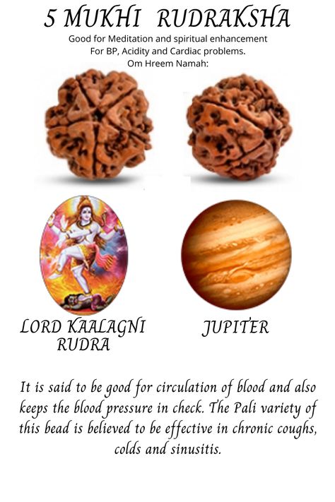 Rudraksh Benefits, Spritual Wallpapers, Natural Protein Shake Recipes, Rudraksha Benefits, Natural Protein Shakes, 5 Mukhi Rudraksha, Ancient Wisdom Quotes, Hindu Vedas, Chakra Health