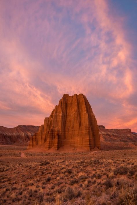 Torrey Utah, Desert Pictures, Olympus Camera, Free Wall Art, Sands Hotel, Capitol Reef, Free Printable Wall Art, Capitol Reef National Park, Arches National Park