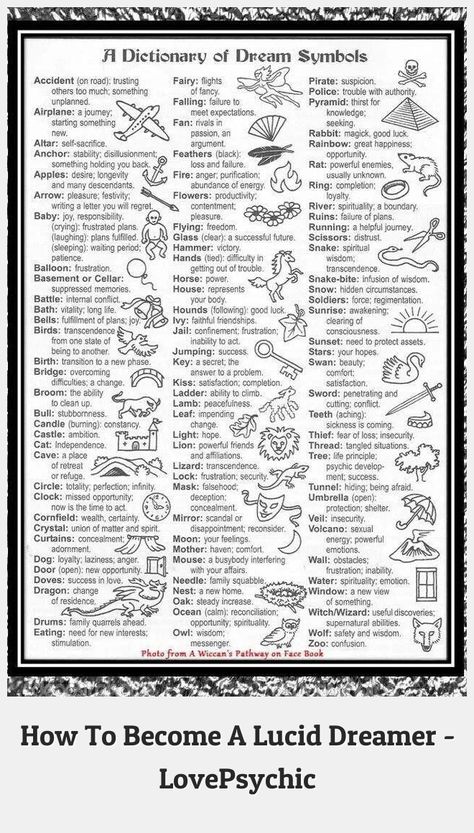 Magick 34333 While some of these dream symbols are easy to figure out, others are interesting. Did you know a zoo in your dream symbolizes "confusion"? Dream Interpretation Symbols, Dream Symbols, Dream Interpretation, Circadian Rhythm, The Dreamers, Your Dream, Did You Know, Dreaming Of You, How To Become