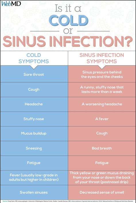 Cold vs sinus infection Swollen Sinuses, Sinus Infection Relief, Sinus Infection Symptoms, Sinus Health, Sinus Infection Remedies, Sick Remedies, Sinus Pressure, Stuffy Nose, Cold Cough