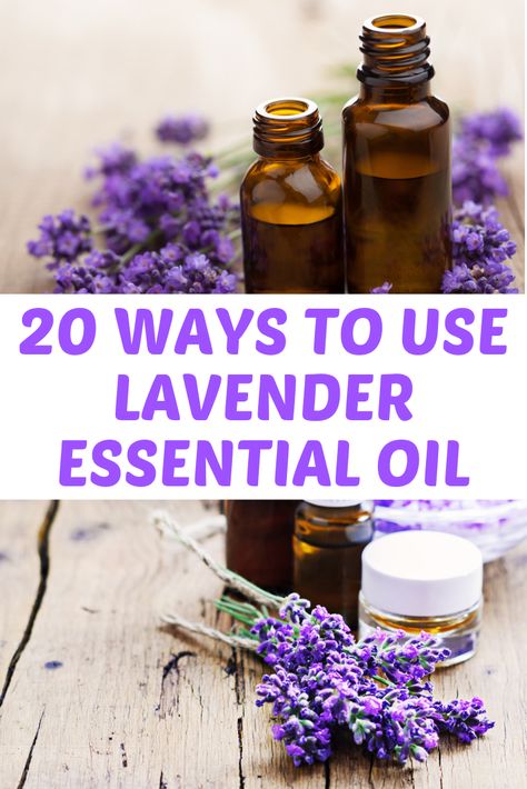 Lavender Oil Uses, Uses For Lavender, Lavender Essential Oil Benefits, Lavender Oil Benefits, Lavender Essential Oil Uses, Lavender Uses, Lavender Benefits, Essential Oils For Sleep, Sleep Remedies