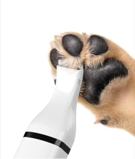 My long-haired dogs' paws need to be trimmed often- this thing is the best for delicate skin between pads!!! Dog Clippers, Small Pet, Dog Paws, Pet Grooming, Dog Hair, Dog Grooming, Pet Hair, Small Pets, Small Dogs