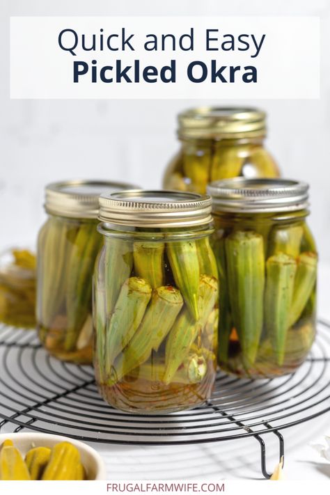 Spicy Okra Pickles, Spicy Okra Recipes, Pickled Okra Spicy, Homemade Pickled Okra, Refrigerated Pickled Okra, Hot Pickled Okra Recipe, Pickling Okra Recipe, Pickles Okra Recipe, Quick Pickled Okra