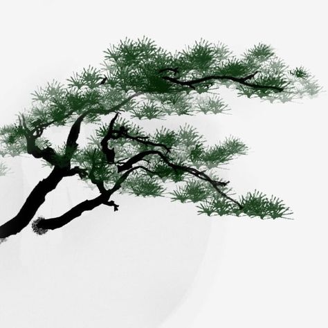 meticulous painting,meticulous pine branch,beautiful branch,fresh branches,big tree,qingsong,hand drawn illustration,hand painted,china,traditional chinese painting,classical,hand clipart,chinese clipart,china clipart Chinese Tree Art, Chinese Tree Drawing, Chinese Brush Painting Flowers, Pine Tree Illustration, Chinese Painting Traditional, Chinese Clipart, Liz White, Asian Plants, Chinese Tree