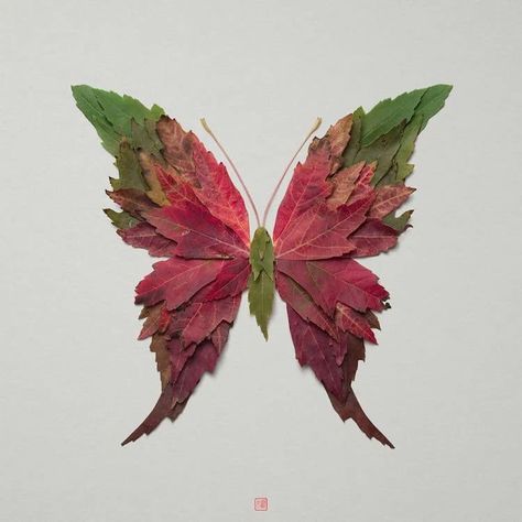 Artist Cleverly Arranges Flowers and Leaves into the Shapes of Animals Raku Inoue, Leaf Art Diy, Dry Leaf Art, Highlights Natural, Leaf Collage, Leaf Projects, Leaf Animals, Pressed Flower Crafts, Leaf Crafts