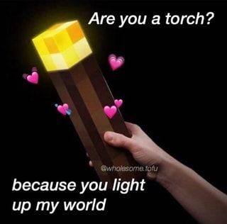 Are you a torch? because you light up my world – popular memes on the site ifunny.co Minecraft Memes, My World, A Box, Coming Out, Minecraft, Memes