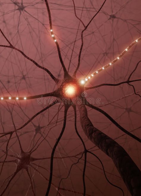 Photo about Inside the brain. Concept of neurons and nervous system. Image of energy, biology, nucleon - 10444243 Neurology Aesthetic, Brain Pictures, Neuroscience Art, Brain Neurons, The Power Of The Mind, Power Of The Mind, Human Body Unit, Biology Art, Medical School Motivation