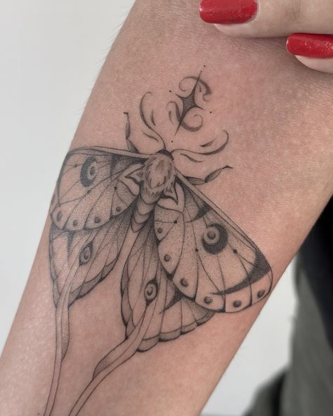 Some close ups of yesterdays reel 🖤 lunar moths are always so pretty and majestic ✨ #tattooing #tatt #tattshop #tattooshop #tattoostyle #tattooideas #artgallery #tattoooftheday #lunarmoth #mothtattoo #deathmoth #butterflytattoo #hummingbirdtattoo #forearmtattoo #girlytattoo Lunar Moth Tattoo, Luna Moth Tattoo, Moth Tattoo Design, Earthy Tattoos, Beetle Tattoo, Shin Tattoo, Bug Tattoo, Inspiration Tattoo, Tattoos Geometric