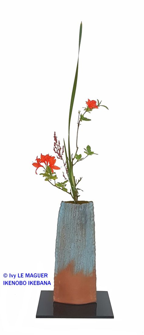 SHOKA SHIMPUTAI (Modern) by Ivy LE MAGUER, Senior Professor of the Ikenobo Ikebana Society of Floral Art, Kyoto, Japan Azalea, Typha, Rumex Ikenobo Ikebana, Ikebana Flower, Ikebana Flower Arrangement, Japanese Flower, Japanese Flowers, Flower Arranging, Kyoto Japan, Ikebana, Flower Arrangement