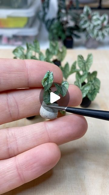 Astrid Wilk on Instagram: "The process continues from cane to the finished mini plant. Here is my Caladium White Christmas. New caladium will be on my list when I get back to work next week. Do you have any suggestions for new Caladium?  All miniature plant sculptures are unique and handmade by me from polymer clay using the cane technique to create very intricate patterns using only colored clay. They are not painted on. The plants are attached to custom-made wood shelves with magnets and can be used both as wall objects and as individual plants in the doll’s house.🪴  #astridwilkdiy #polymerclaycane #polymerclaycanes #polymerclaytutorial #polymerton  #miniaturen #miniatureplants #miniaturemaking #botanicalart #miniatures #smallthings  #ミニチュア #clayart #claycreations #dollhouseplants #plan Colored Clay, Mini Plant, Clay Oven, Polymer Clay Cane, Polymer Clay Canes, Miniature Plants, Get Back To Work, Mini Plants, Polymer Clay Tutorial