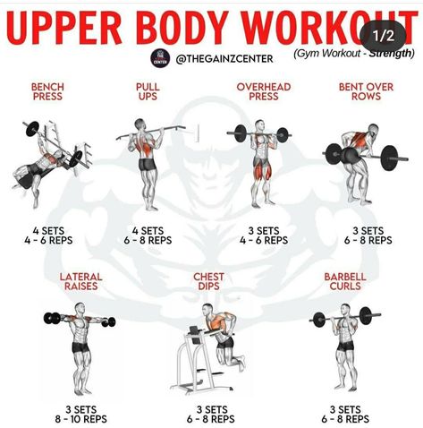 Upper Body Workout Men, Beginner Workout For Men, Women Full Body Workout, Upper Body Workout Gym, Back Workout Men, Full Upper Body Workout, Body Sculpting Workouts, Bicep And Tricep Workout, Full Body Weight Workout