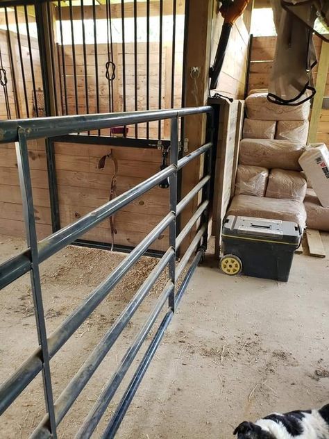 Horse Stall Gates, Pocket Gate, Horse Barn Ideas, Horse Tack Rooms, Livestock Barn, Horse Farm Ideas, Barn Hacks, Cattle Barn, Horse Barn Ideas Stables