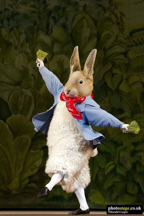 Dancing Rabbit, Peter Rabbit Costume, Animal Ballet Costume, Peter And The Wolf Ballet, Beatrix Potter Ballet, Full Body Puppets, Tom Kitten Beatrix Potter, Tales Of Beatrix Potter, Beatrix Potter Cat Illustrations