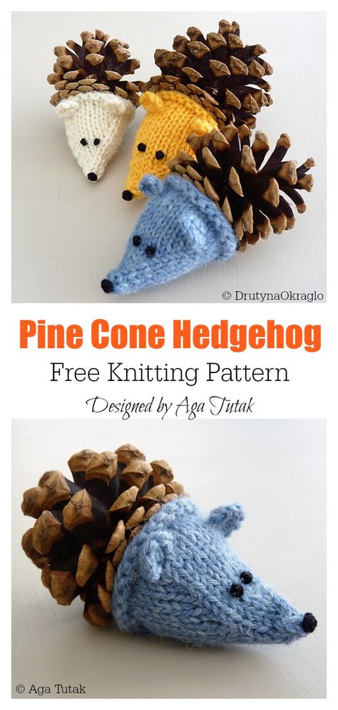 Pine Cone Hedgehog Free Knitting Pattern Pine Cone Hedgehog, Tea Cozy Pattern, Knitting Projects Free, Christmas Knitting Patterns Free, Knitting Patterns Toys, Cones Crafts, Knitting Blogs, Christmas Knitting Patterns, Pine Cone Crafts