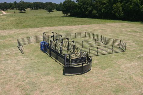 Priefert Manufacturing | Solid Sweep Corral System for 100 Head Cattle Working Pens, Cattle Facility, Cattle Corrals, Livestock Fence, Cattle Barn, Cattle Panels, Homesteading Diy, Beef Cattle, Horse Equipment