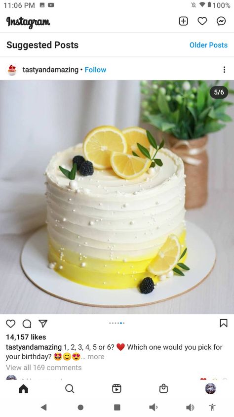 Lemon Birthday Cakes, 25th Birthday Cakes, Birthday Baking, Blueberry Lemon Cake, Summer Cakes, Blueberry Cake, Dessert Decoration, Fun Baking Recipes, Cake Designs Birthday