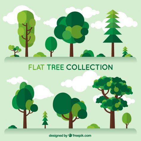 Set trees of different kind in flat design Free Vector Flat Tree, 심플한 그림, Cartoon Trees, Flat Design Illustration, Tree Logos, Floral Branch, Tree Graphic, Affinity Designer, Copyright Free