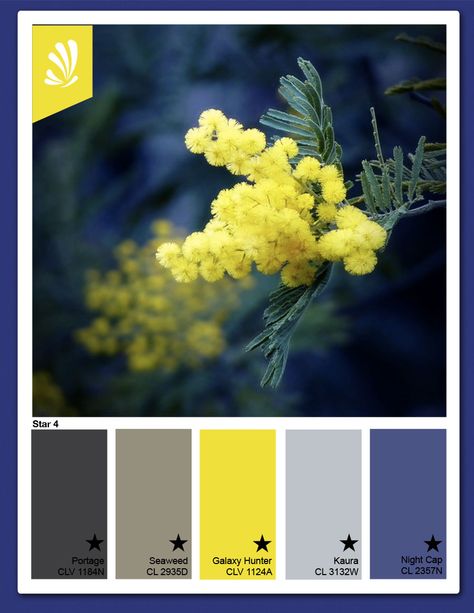 Nature's Palette - Nave blue & Yellow - Pretty colors for the family room. www.generalpaint.com/stylyze Deco Pastel, Blue Yellow Grey, Color Palette Yellow, Blue Palette, Grey Color Palette, Trendy Living Rooms, Yellow Walls, Blue Colour Palette, Grey Kitchens