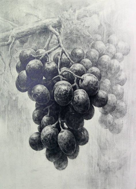 grapes 2 by indiart3612 on DeviantArt Grape Drawing, Fruit Sketch, Vegetable Drawing, Academic Drawing, Fruits Drawing, Object Drawing, White Drawing, Still Life Drawing, 수채화 그림