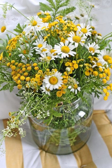 Anthropology Wedding, Centerpiece Inspiration, Bouquet Champetre, Yellow And White Flowers, Vibeke Design, Deco Champetre, Pinterest Wedding, Beautiful Bouquets, בר מצווה