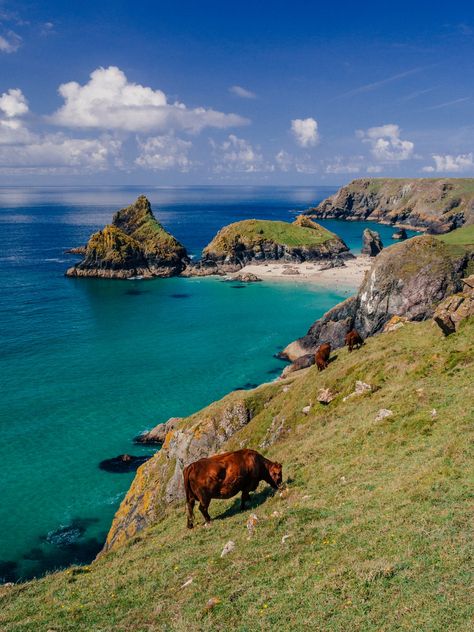 4\. Mullion Cove to Kynance Cove The Pig Hotel, Places In Cornwall, Cornwall Beaches, South West Coast Path, Beach Read, Cornwall England, Secret Beach, Rock Pools, Conde Nast