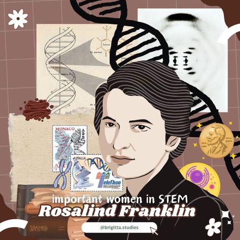 Important women in stem 🧬 Rosalind Franklin . Rosalind Franklin was a pioneering scientist whose work was crucial to the discovery of DNA's double helix structure. Using X-ray crystallography, she captured the famous "Photo 51," which provided critical evidence of DNA’s helical form. Her research laid the foundation for James Watson and Francis Crick to develop their DNA model, although her contributions were largely unrecognized during her lifetime. In addition to her DNA work, Franklin made... James Watson, Rosalind Franklin, Women In Stem, Dna Model, Famous Photos, Double Helix, X Ray, Helix, Art Lessons