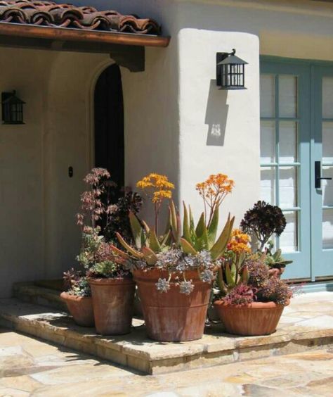 Pretty! Curb Appeal Landscape, Front Yards Curb Appeal, Succulent Landscape Design, نباتات منزلية, Succulent Landscaping, Mediterranean Landscaping, Mediterranean Design, Succulents In Containers, Mediterranean Garden