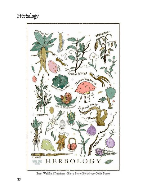 Harry Potter - Student Activity Book (Herbology) Herbology Print, Biophilic Decor, Harry Potter Herbology, Hogwarts Classes, Harry Potter Printables Free, Harry Potter Nursery, Magical Decor, Anniversaire Harry Potter, Harry Potter Books