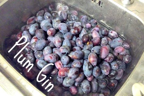 Wild plum gin with recipe Diy Liquors, Gin Infusions, Plum Gin, Gin Making, Damson Plum, Wild Plum, Fruit Diy, Infused Gin, Food Post