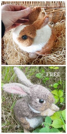 Rabbit Knitting Pattern Free, Baby Knitting Patterns Free Newborn, Comfort Dolls, Amigurumi Easter, Rabbit Knitting Pattern, Bunny Knitting Pattern, Knitted Stuffed Animals, Knitted Bunny, Miniature Knitting