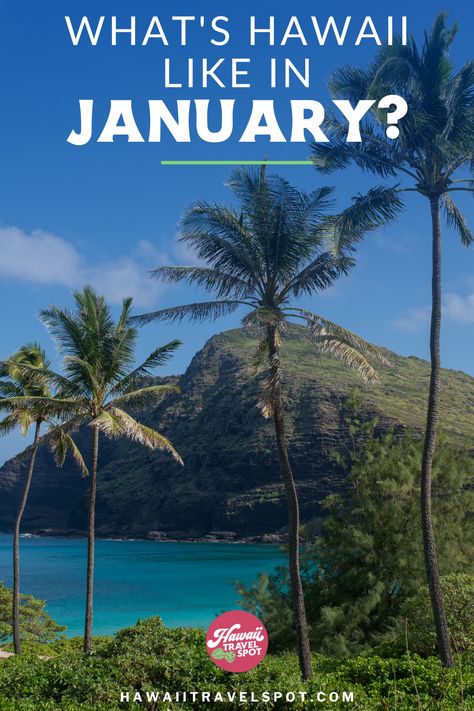 Escape to the tropical paradise of Hawaii this January! Discover the warm weather, beautiful beaches, and exciting activities that await you. Plan your dream vacation with our guide to the best things to see and do in Hawaii during the winter season. Get all your questions answered about whether or not it's worth visiting Hawaii in January from a Hawaii travel expert! Hawaii In January, Visiting Hawaii, Hawaii Cruise, Hawaii Trip Planning, Trip To Hawaii, Hawaii Trip, Visit Hawaii, Hawaiian Vacation, Hawaii Vacation