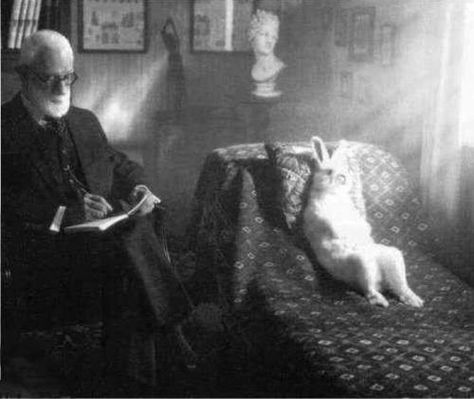 Freud and Rabbit — 'Sometimes a carrot is just a carrot' Alice Rabbit, Somebunny Loves You, Ernesto Che Guevara, Were All Mad Here, Karl Marx, Charles Darwin, Sigmund Freud, Rabbit Hole, Salvador Dali