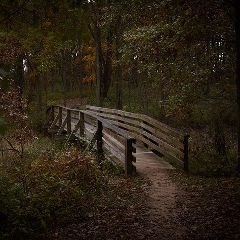 Forest Bridge We're crossing the final bridge in my 6-part "small bridge" series. I hope you've enjoyed it. If so, leave a comment!   Everyone knows that it goes River > Creek > Stream > Brook > Crick. Unless you are one of those poor souls who says a crick is a creek, in which case I don’t know what to do with you. Anyhow, the State of Illinois built a bridge over a crick so people wouldn’t get their Timberlands muddy.  https://chriseaves.com/2019/03/13/crick-crossing/ Wooden Bridge Over Creek, Bridge In Forest, Bridge Over Creek, Bridge In The Woods, Aesthetic Bridge, Grimes Genesis, Bridge Aesthetic, Forest Bridge, Bridge Over River