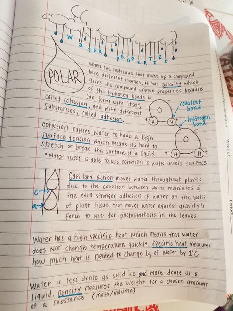 Water properties notes Biology Notes Properties Of Water, Biology Water Notes, Properties Of Water Notes, Ap Biology Notes, Water Properties, Water Notes, Biochemistry Notes, Properties Of Water, Gcse Chemistry