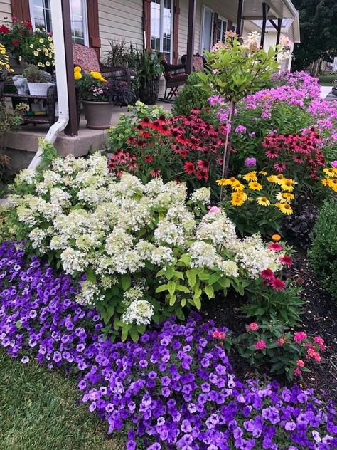 Townhome Landscape, Hydrangea Garden Bed, Bobo Hydrangeas, Hacienda Garden, Bloomstruck Hydrangea, Bobo Hydrangea, Storybook Gardens, Landscaping Inspiration, Hydrangea Garden