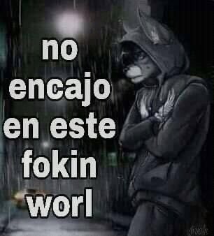 CELLBIT ESPAÑOL UPDATES on X: "@Roiereal @RoierUpdates https://t.co/TWtOEBLOnB" / X Frases Emo, Alpha Werewolf, Spanish Memes, Silly Images, Funny Me, Reaction Pictures, Mood Pics, Funny Images, Dumb And Dumber