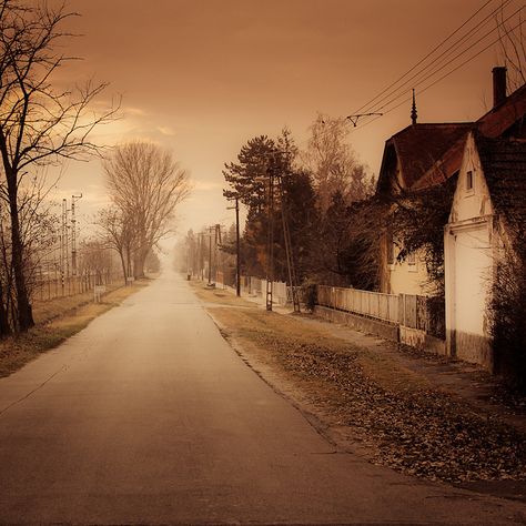 great sepia tone Sepia Landscape, Landscape Wallpapers, Road To Nowhere, Sepia Photography, Surreal Photos, Aesthetic Images, Landscape Wallpaper, Photo Backgrounds, Pretty Pictures