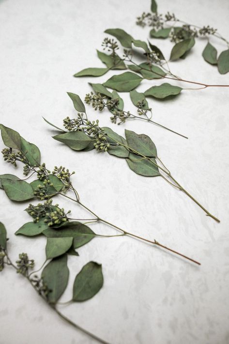 A Step by Step of How to Make DIY Eucalyptus Garland | Easy Holiday Decor Ideas | Home Decor Ideas for Thanksgiving | Simple Hanging Decorations | Christmas Decor Ideas | Mantle Decorating Ideas | Creative Table Decorations | DIY Crafts or Adults | Holiday Party Decors | Eucalyptus Centerpiece DIY | Lifestyle Blogger | Charmed By Camille #holidaydecors #diygarlands Diy Table Garland, Eucalyptus Garland Mantle, Diy Eucalyptus Garland, Mantle Decorating Ideas, Easy Holiday Decor, Table Decorations Diy, Eucalyptus Decor, Diy Eucalyptus, Eucalyptus Centerpiece