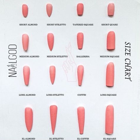 NAILGOD on Instagram: “NAILGOD size chart 👀 💅🏻what type of babe are you? 🍒a master nail stylist can preform ALL styles on demand! It takes about a year to…” Nail Sizes Shape Chart, Nail Sizing Chart, With Acrylic Nails, Nail Stylist, Shape Chart, Coffin Shape Nails, Nail Sizes, Nail Art Ideas, Cosmetology