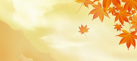 Maple Leaf Floral Autumn background Background Search, Orange Plant, Leaves Background, Autumn Background, Leaf Texture, Graphic Design Background Templates, Leaf Background, Background Photo, Hd Backgrounds