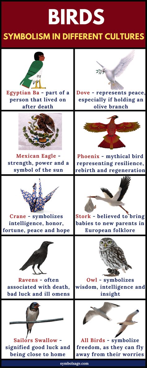 Throughout history, humans have been captivated by birds and have attributed birds with meaningful symbolism. Here's a look at the meaning of birds across cultures and times. Bird Meaning, Small Wave Tattoo, Bird Tattoo Meaning, Tato Dengan Makna, What Is A Bird, Animal Symbolism, Different Birds, Dream Symbols, Symbols And Meanings