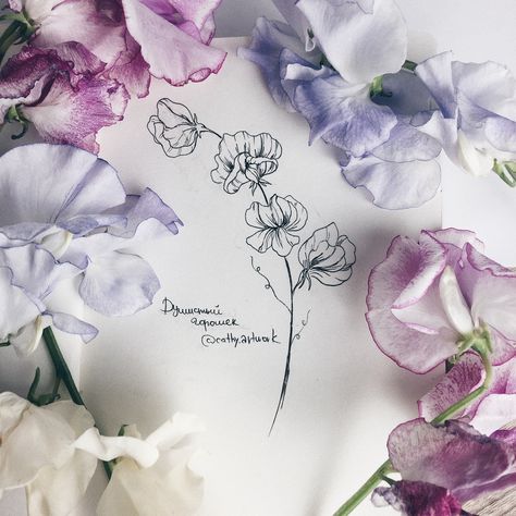 Flower Tattoos Sweet Pea, Sweet Pea Sketch, Sweet Pea Wrap Around Tattoo, Sweet Pea Tattoo Design, Sweat Pea Tattoo, Sweet Pea Flower Tattoo, Pea Tattoo, Blackberry Tattoo, Sweet Pea Tattoo