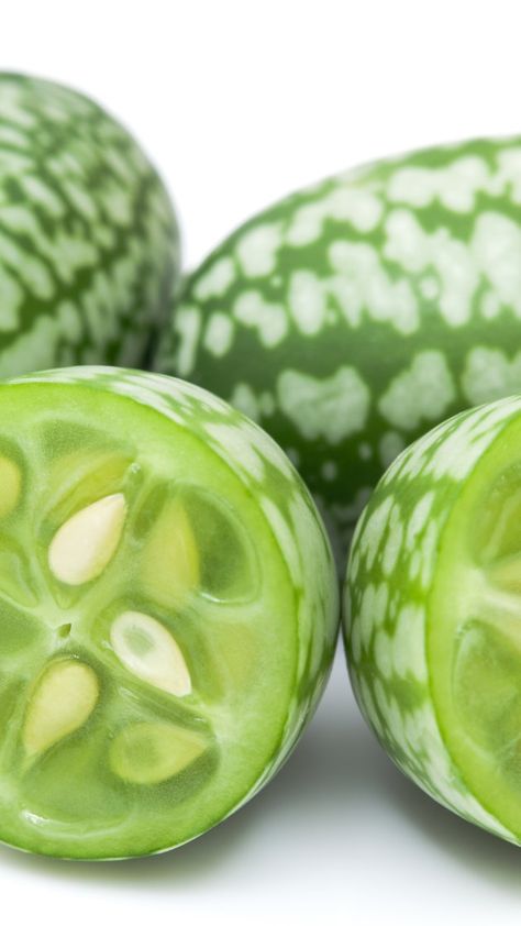 This cucumber-watermelon hybrid is the cutest fruit of the summer via @AOL_Lifestyle Read more: https://www.aol.com/article/2016/08/11/this-cucumber-watermelon-hybrid-is-the-cutest-fruit-of-the-summe/21449865/ Wassail Recipe, Cucumber Varieties, Cucumber Beetles, Lemon Cucumber, Scallop Recipes, Sketch Style, Fruit Seeds, Plant Spacing, Cute Fruit