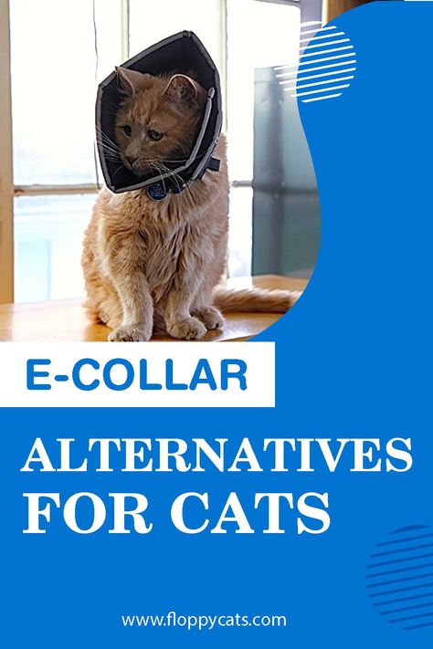 If you've ever put the cone of shame on your cat then you know that it inhibits their ability to eat, drink, and interact normally. Try out some of these e-collar alternatives that are safe and user approved. #catcollar #coneofshame #cats Cat Cone Diy, Cat Cone Alternative Diy, Cat Behavior Chart, Cat Behavior Facts, Cat Behavior Problems, Cone Collar, Cat Advice, Cat Tips, Cone Of Shame