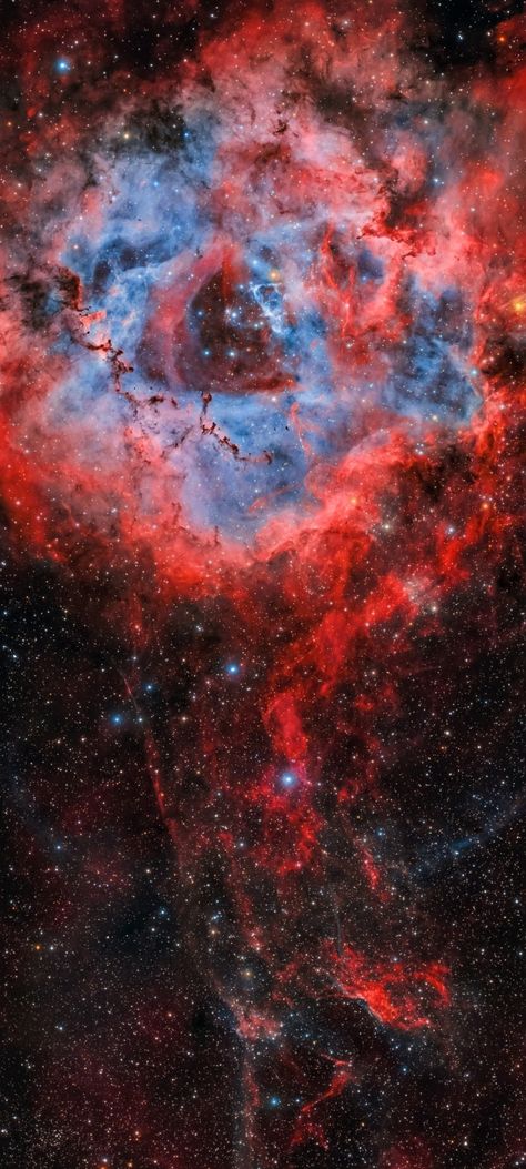 Galaxia Wallpaper, Rosette Nebula, Cosmos Space, Moving Backgrounds, Galaxy Images, Space Phone Wallpaper, Planets And Moons, Space Stuff, Cellphone Wallpaper Backgrounds