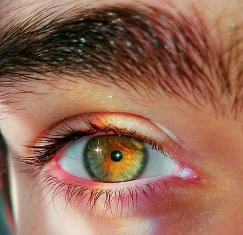 Eyes Aesthetics, Yellow Orange Flowers, Sky Rainbow, Hazel Green Eyes, Eye Facts, Beautiful Eyes Color, Eye Pictures, Face Drawing Reference, Credit Tips