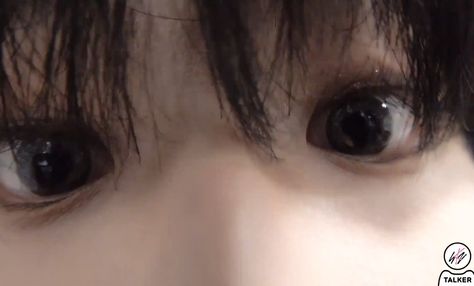 Han Jisung Eyes Close Up, Eye Close Up, Scary Faces, Baby Squirrel, Skz In Cute, Cute Eyes, My Man, Kids Icon, Han Jisung