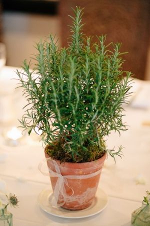 1920s Garden Wedding Herb Centerpieces, Plant Centerpieces, Simple Table Settings, Lavender Herb, Wedding Favors Cheap, Herb Pots, Wedding Table Settings, Italian Wedding, Garden Table